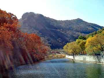 管家婆黑白马报图库，福田三轮摩托车价格